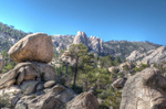 photo thumbnail #5