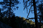 photo thumbnail #11