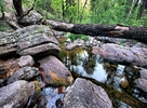 photo thumbnail #13