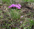 photo thumbnail #6