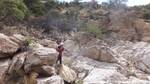 photo thumbnail #2