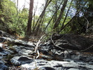 Featured Full Photo