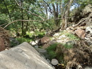 Featured Full Photo