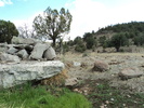 Featured Full Photo