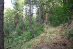 photo thumbnail #4
