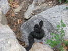 photo thumbnail #14
