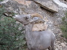 photo thumbnail #8