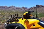 photo thumbnail #1