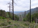 photo thumbnail #3