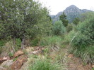photo thumbnail #10