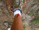 photo thumbnail #12