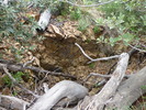 photo thumbnail #11
