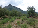 photo thumbnail #13