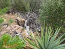 photo thumbnail #15