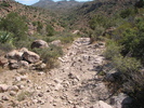 photo thumbnail #4