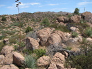 photo thumbnail #10