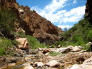 photo thumbnail #8
