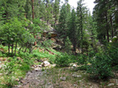 photo thumbnail #8