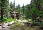 photo thumbnail #12