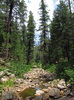 photo thumbnail #13