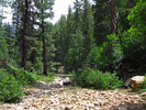 photo thumbnail #14