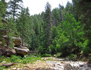 photo thumbnail #15