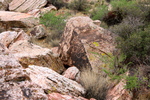 photo thumbnail #5