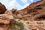 photo thumbnail #7
