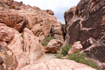 photo thumbnail #11