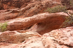 photo thumbnail #12