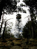 photo thumbnail #12