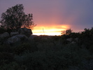 photo thumbnail #12