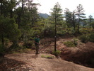 photo thumbnail #1