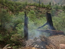 photo thumbnail #4