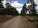 photo thumbnail #8