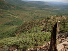 photo thumbnail #12