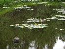 photo thumbnail #13