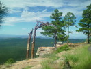 photo thumbnail #12