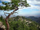 photo thumbnail #8