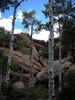 photo thumbnail #10