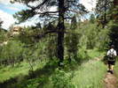 photo thumbnail #12