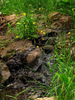 photo thumbnail #14