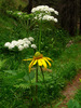 photo thumbnail #15