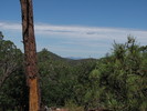 photo thumbnail #15