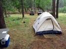 photo thumbnail #8