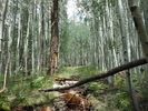 photo thumbnail #9