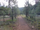 photo thumbnail #1