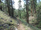photo thumbnail #9