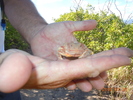 photo thumbnail #9