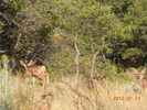 photo thumbnail #11